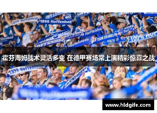 霍芬海姆战术灵活多变 在德甲赛场常上演精彩惊喜之战 霍芬海姆战术灵活多变 在德甲赛场常上演精彩惊喜之战
