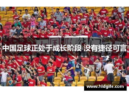 中国足球正处于成长阶段 没有捷径可言