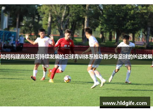 如何构建高效且可持续发展的足球青训体系推动青少年足球的长远发展