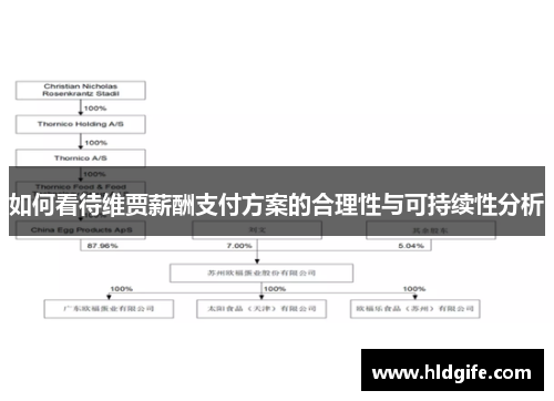 如何看待维贾薪酬支付方案的合理性与可持续性分析 如何看待维贾薪酬支付方案的合理性与可持续性分析