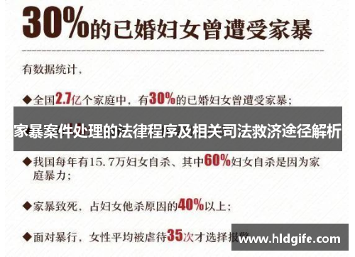 家暴案件处理的法律程序及相关司法救济途径解析 家暴案件处理的法律程序及相关司法救济途径解析