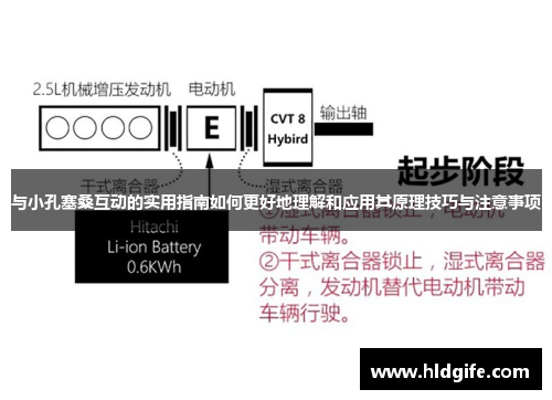 与小孔塞桑互动的实用指南如何更好地理解和应用其原理技巧与注意事项