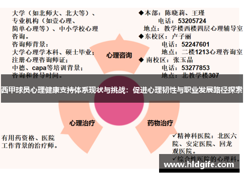 西甲球员心理健康支持体系现状与挑战:促进心理韧性与职业发展路径探索 西甲球员心理健康支持体系现状与挑战:促进心理韧性与职业发展路径探索