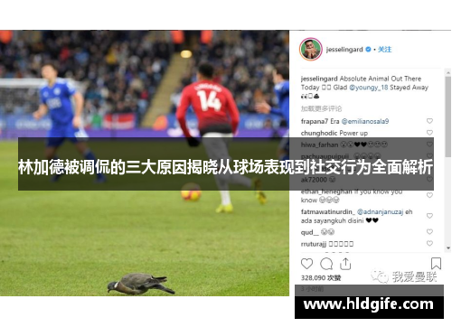 林加德被调侃的三大原因揭晓从球场表现到社交行为全面解析