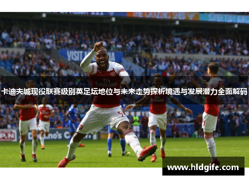 卡迪夫城现役联赛级别英足坛地位与未来走势探析境遇与发展潜力全面解码